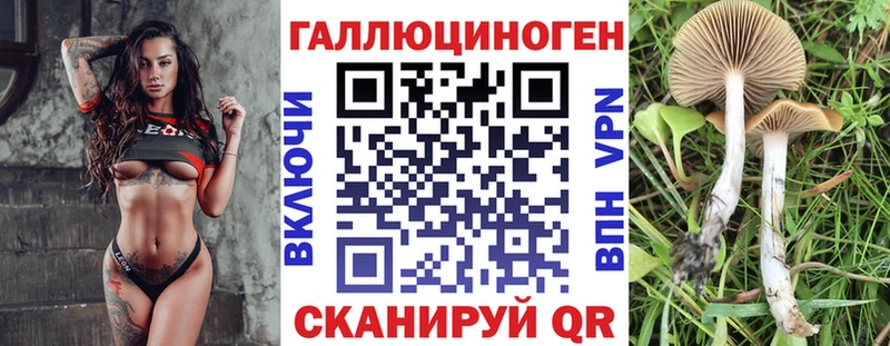 купить закладку  MEGA ссылки  Псилоцибиновые грибы ЛСД  Мурманск 