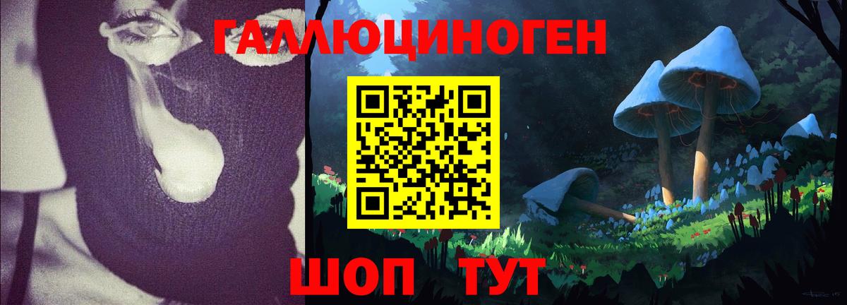 Мурманск  Псилоцибиновые грибы ЛСД  Вход с VPN 